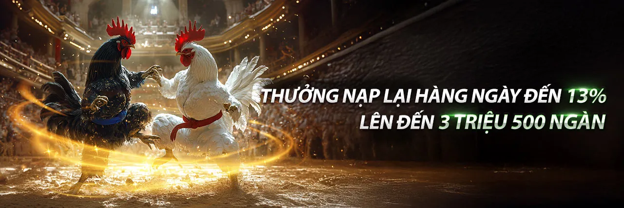 Hình ảnh hùng vĩ về một trận đá gà kịch tính tại full88
